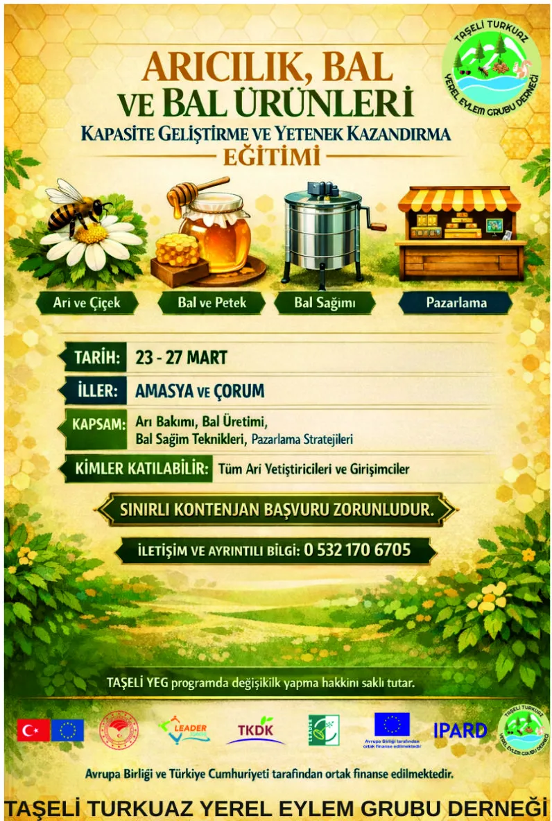 Kovandan Pazara: Arıcılıkta Başarılı Birlik Modelleri İncelemesi